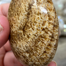 将图像加载到图库查看器中,<transcy>文石星团#03</transcy>