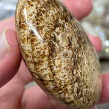 将图像加载到图库查看器中,<transcy>文石星团#03</transcy>