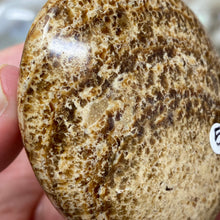 将图像加载到图库查看器中,<transcy>文石星团#03</transcy>