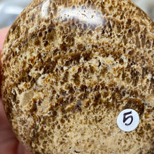 将图像加载到图库查看器中,<transcy>文石星团#03</transcy>