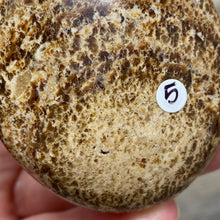 将图像加载到图库查看器中,<transcy>文石星团#03</transcy>