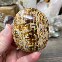 将图像加载到图库查看器中,<transcy>文石星团#03</transcy>