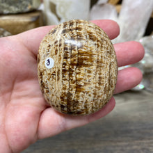 将图像加载到图库查看器中,<transcy>文石星团#03</transcy>