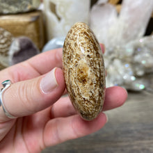 将图像加载到图库查看器中,<transcy>文石星团#03</transcy>