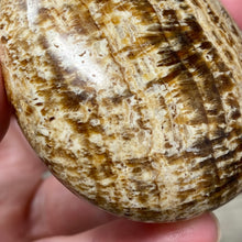 将图像加载到图库查看器中,<transcy>文石星团#03</transcy>