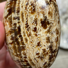 将图像加载到图库查看器中,<transcy>文石星团#03</transcy>