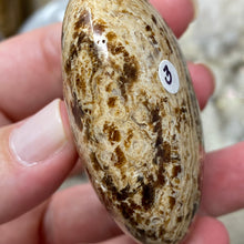 将图像加载到图库查看器中,<transcy>文石星团#03</transcy>