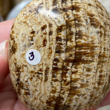 将图像加载到图库查看器中,<transcy>文石星团#03</transcy>