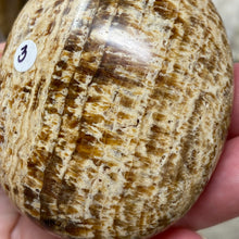 将图像加载到图库查看器中,<transcy>文石星团#03</transcy>