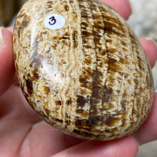 将图像加载到图库查看器中,<transcy>文石星团#03</transcy>