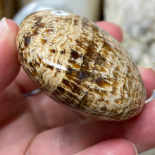 将图像加载到图库查看器中,<transcy>文石星团#03</transcy>