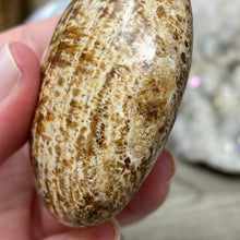 将图像加载到图库查看器中,<transcy>文石星团#03</transcy>