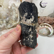 Bild in Galerie-Viewer laden, Black Tourmaline with Muscovite Rough #10