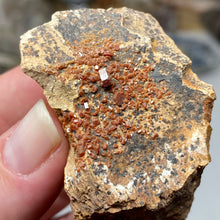 Chargez l'image dans la visionneuse de la galerie, Vanadinite #01 with Dendrites