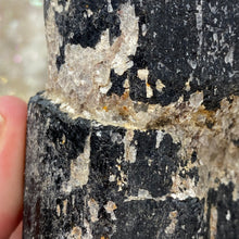 Bild in Galerie-Viewer laden, Black Tourmaline with Muscovite Rough #10