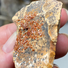 Chargez l'image dans la visionneuse de la galerie, Vanadinite #01 with Dendrites