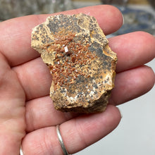 Chargez l'image dans la visionneuse de la galerie, Vanadinite #01 with Dendrites