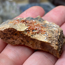 Chargez l'image dans la visionneuse de la galerie, Vanadinite #01 with Dendrites