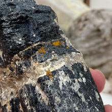 Bild in Galerie-Viewer laden, Black Tourmaline with Muscovite Rough #10