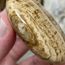 Load image into Gallery viewer, Brown Aragonite Pillow Palm Stone #02