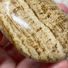 Load image into Gallery viewer, Brown Aragonite Pillow Palm Stone #02