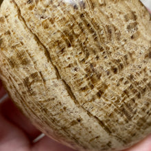 Load image into Gallery viewer, Brown Aragonite Pillow Palm Stone #02