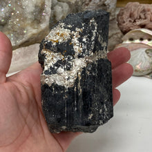 Bild in Galerie-Viewer laden, Black Tourmaline with Muscovite Rough #10