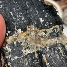 Bild in Galerie-Viewer laden, Black Tourmaline with Muscovite Rough #10