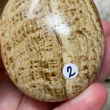 Load image into Gallery viewer, Brown Aragonite Pillow Palm Stone #02
