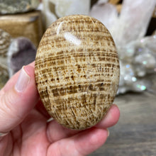 Load image into Gallery viewer, Brown Aragonite Pillow Palm Stone #01