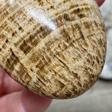 Load image into Gallery viewer, Brown Aragonite Pillow Palm Stone #01