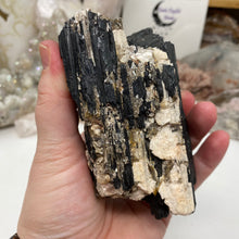 Bild in Galerie-Viewer laden, Black Tourmaline with Muscovite Rough #11