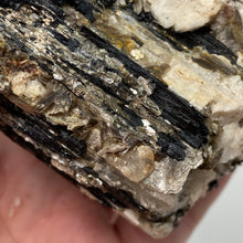 Bild in Galerie-Viewer laden, Black Tourmaline with Muscovite Rough #11