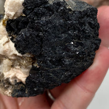 Bild in Galerie-Viewer laden, Black Tourmaline with Muscovite Rough #11