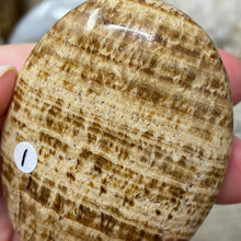 Load image into Gallery viewer, Brown Aragonite Pillow Palm Stone #01