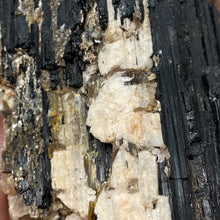 Bild in Galerie-Viewer laden, Black Tourmaline with Muscovite Rough #11