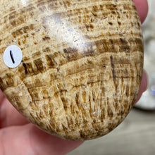 Load image into Gallery viewer, Brown Aragonite Pillow Palm Stone #01
