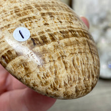 Load image into Gallery viewer, Brown Aragonite Pillow Palm Stone #01