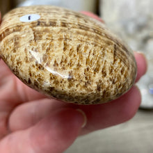 Load image into Gallery viewer, Brown Aragonite Pillow Palm Stone #01