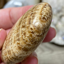 Load image into Gallery viewer, Brown Aragonite Pillow Palm Stone #01