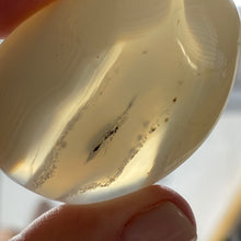 Bild in Galerie-Viewer laden, Agate Palm Stone #07