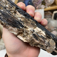 Bild in Galerie-Viewer laden, Black Tourmaline with Muscovite Rough #14