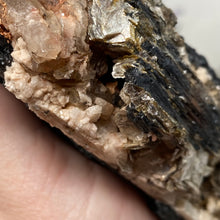 Bild in Galerie-Viewer laden, Black Tourmaline with Muscovite Rough #14