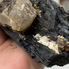 Bild in Galerie-Viewer laden, Black Tourmaline with Muscovite Rough #14