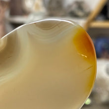 Bild in Galerie-Viewer laden, Agate Palm Stone #08