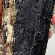 Bild in Galerie-Viewer laden, Black Tourmaline with Muscovite Rough #14