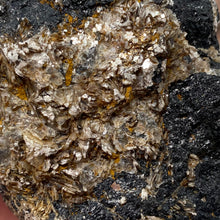 Bild in Galerie-Viewer laden, Black Tourmaline with Muscovite Rough #15