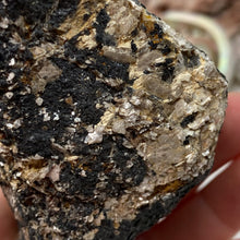 Bild in Galerie-Viewer laden, Black Tourmaline with Muscovite Rough #15