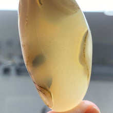 Bild in Galerie-Viewer laden, Agate Palm Stone #10