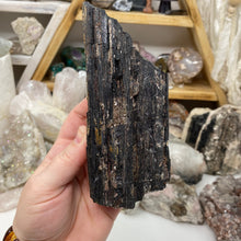 Bild in Galerie-Viewer laden, Black Tourmaline with Muscovite Rough #17